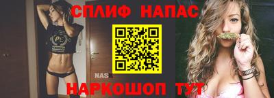 гашик Можга