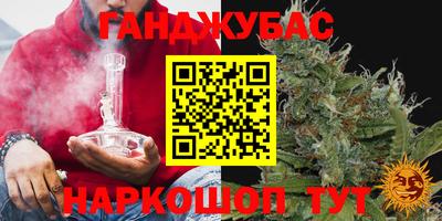 стаф Моздок
