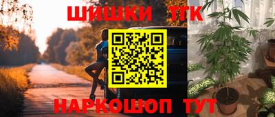 гашик Можга