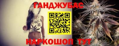 стаф Моздок