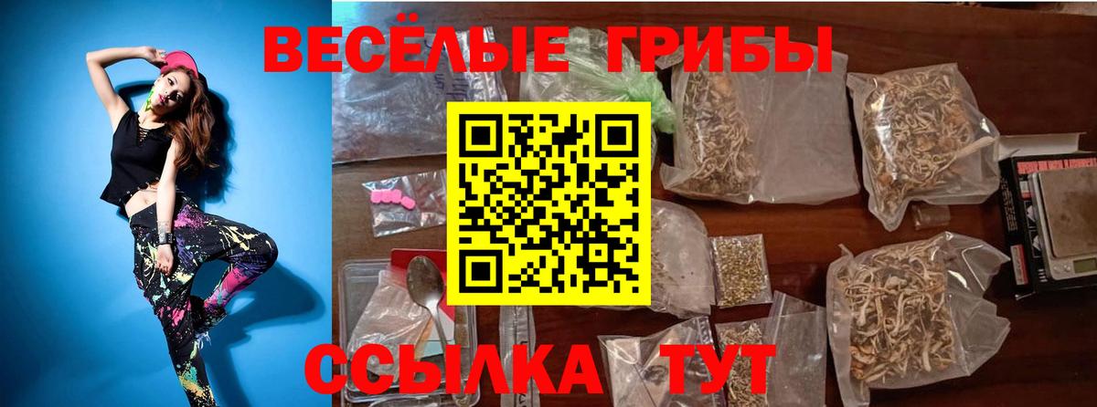 Галлюциногенные грибы ЛСД  Вход с VPN  Энгельс 