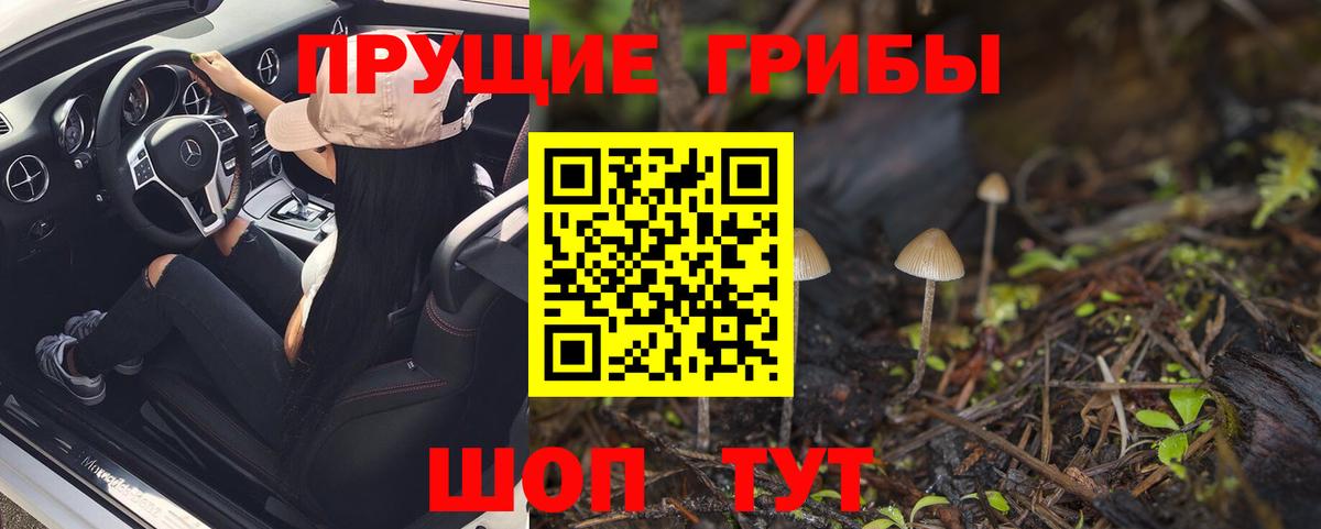 Псилоцибиновые грибы Magic Shrooms Энгельс